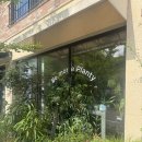 플랜티오브제
