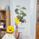 삼각산어린이도서관 | 삼각산재미난학교 중학생 에세이 "밤잼을 소개합니다!"