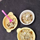 반짝반짝내작은개 이미지