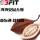 카카오닙스의 놀라운 효능과 섭취법을 알려드립니다 ft. 미금역 쓰리핏 PT