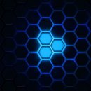 건강초음파 이미지