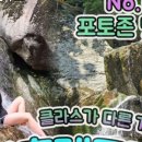 장흥계곡집 이미지