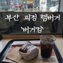 [부산 괴정 햄버거] 버거킹 신메뉴 블랙어니언 가격정보 및 내돈내산 후기