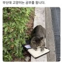경원치킨