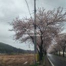 가야산공인중개사사무소 이미지