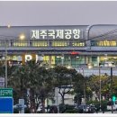 제주공항 근처 고기국수 맛집 제주도 서쪽 맛집 먹돌고기국수