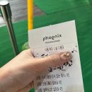 써니게임랜드 | 평창 휘닉스파크 애견동반 곤돌라 탑승 후기, 휘닉스파크 부대시설까지 총정리