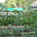 상일어린이집 이미지