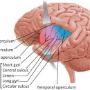 뉴로트레이닝센터 이미지