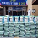 미소진 이미지