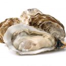 하이운동발달센터 이미지