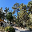 영흥로 | [블랙트리캠핑] 캐빈 독채 후기 인천 대부도 글램핑 숙소 추천 바베큐 야영장에서 불멍🏕️