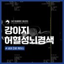 웰니스동물병원(수완점) | 광주 수완지구동물병원 강아지 허혈성 뇌경색 치료 MRI 촬영
