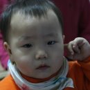 나경 이미지