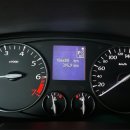 포니카센타 이미지