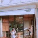 샤워하는 강아지 이미지