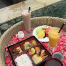 팜풀빌라 | 발리 신혼여행 숙소 호텔 추천 │팜투어 아야나 풀빌라 짧은 후기