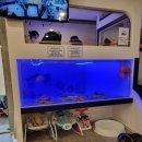 큐리키즈카페 이미지