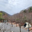펜션벨뷰캠핑장 이미지
