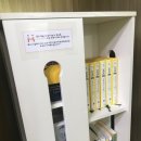 모모스터디