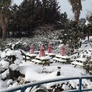 제주카사블랑카 이미지