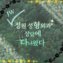 코 재수술 상담 : 정원 성형외과 상담 후기