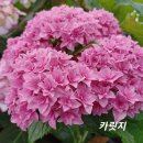 유앤미 이미지