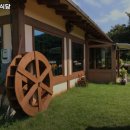 꽃잔디식당 이미지