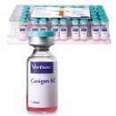 논현 켄넬 이미지