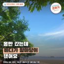 선재자동차야영장 | 인천 선재도 차박, 캠핑카 없어도 OK 🌊 미니칸으로 몸만 떠난 1박 후기