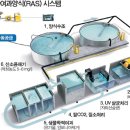 해사랑전복마을 이미지
