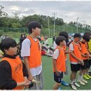 태성태권도 이미지