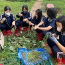 중앙원예 이미지