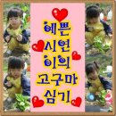 병관농장 이미지