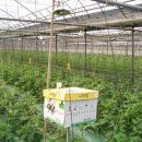 세도농장 이미지