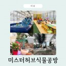 허브하우스 앞 | 경기도 아이와 가볼만한곳 고양 미스터허브식물공방 후기