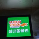 와우쥬 양산점 | 양산 물금 와우쥬 실내동물원 후기 아이랑 가볼만한곳 체험형 끝판왕
