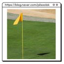 영강천변 파크골프장 이미지