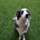 불리빌로우코리아센터 이미지