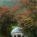 햇살목장 이미지