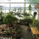 화가의정원 이미지