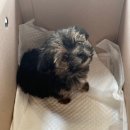 전기구이7호(신매광장점) 이미지