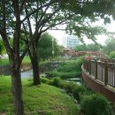 전곡항 공원 이미지