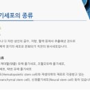 유니완