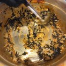 닭두마리 이미지