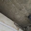 판교역로50번길 이미지