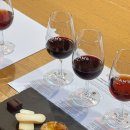 백산농장 | 포르투 그라함 와이너리 투어 비교 예약방법 가격 시음 후기