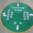 돌고래시장 이미지