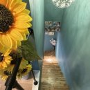 오소록 하우스 이미지