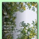 투망 - 송찬호 이미지